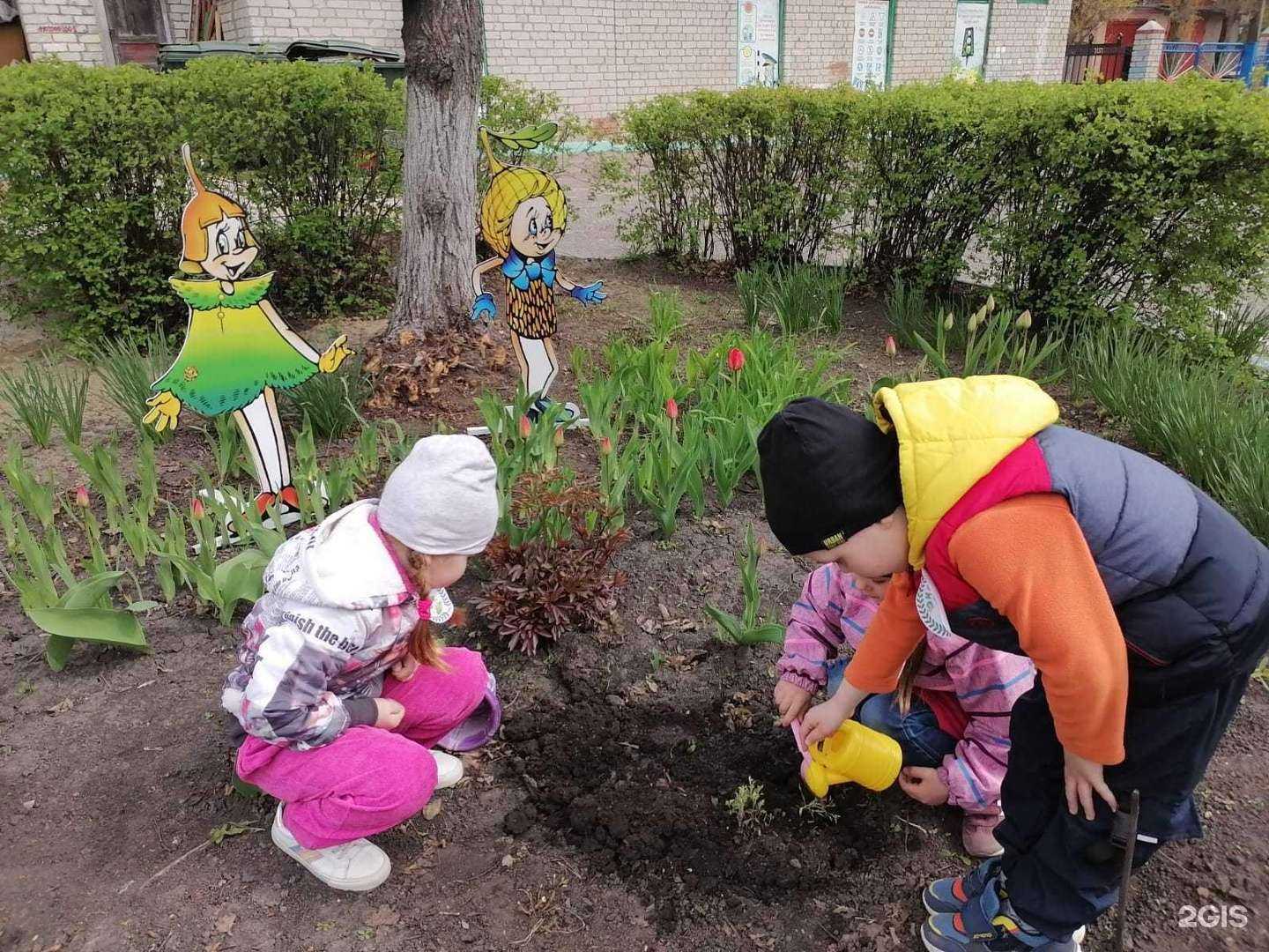 Отзывы на компанию Детский сад комбинированного вида №54 в г. Курск c фото