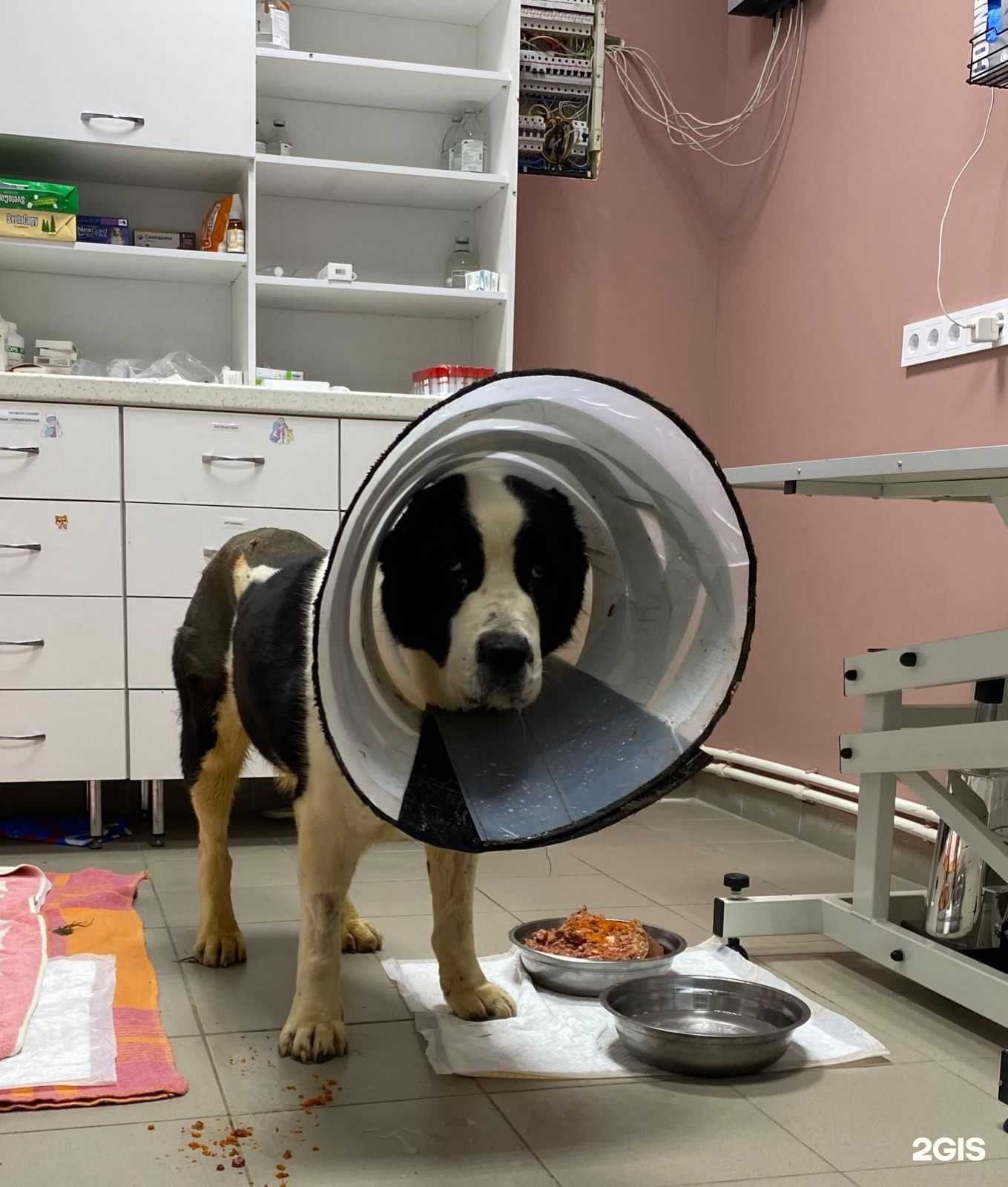 Отзывы на компанию Велес в г. Малоярославец c фото