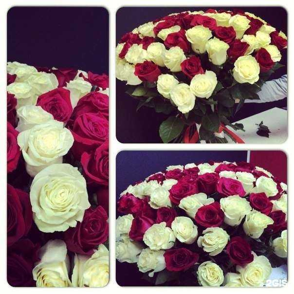 Отзывы на компанию 59roz в Березниках c фото