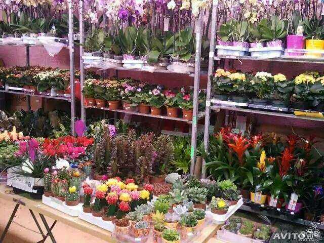 Отзывы на компанию Пятница в г. Нижний Тагил c фото