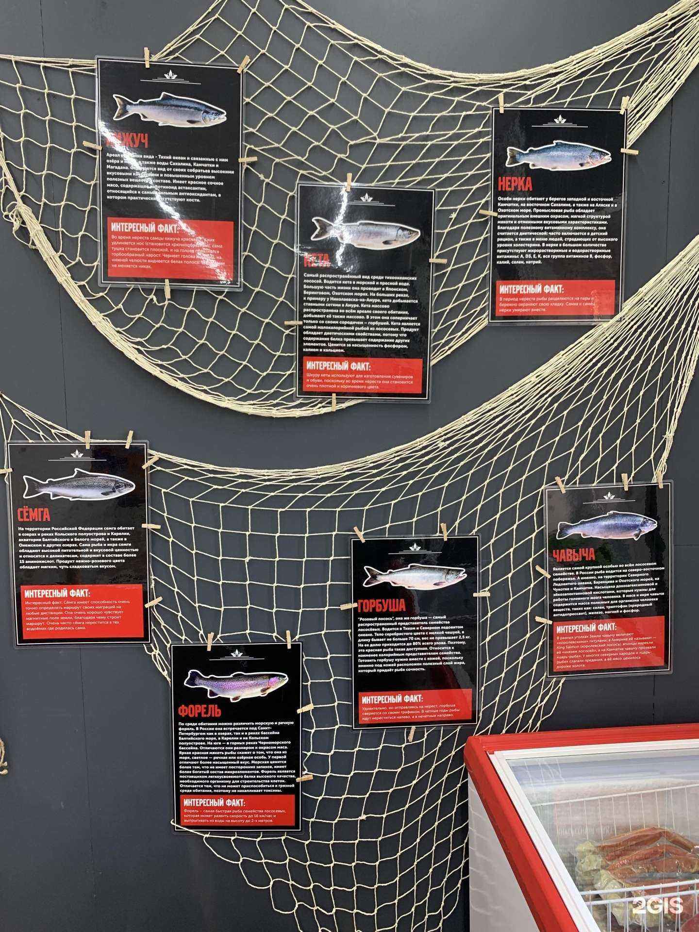 Отзывы на компанию Богатство Камчатки в Иркутске c фото