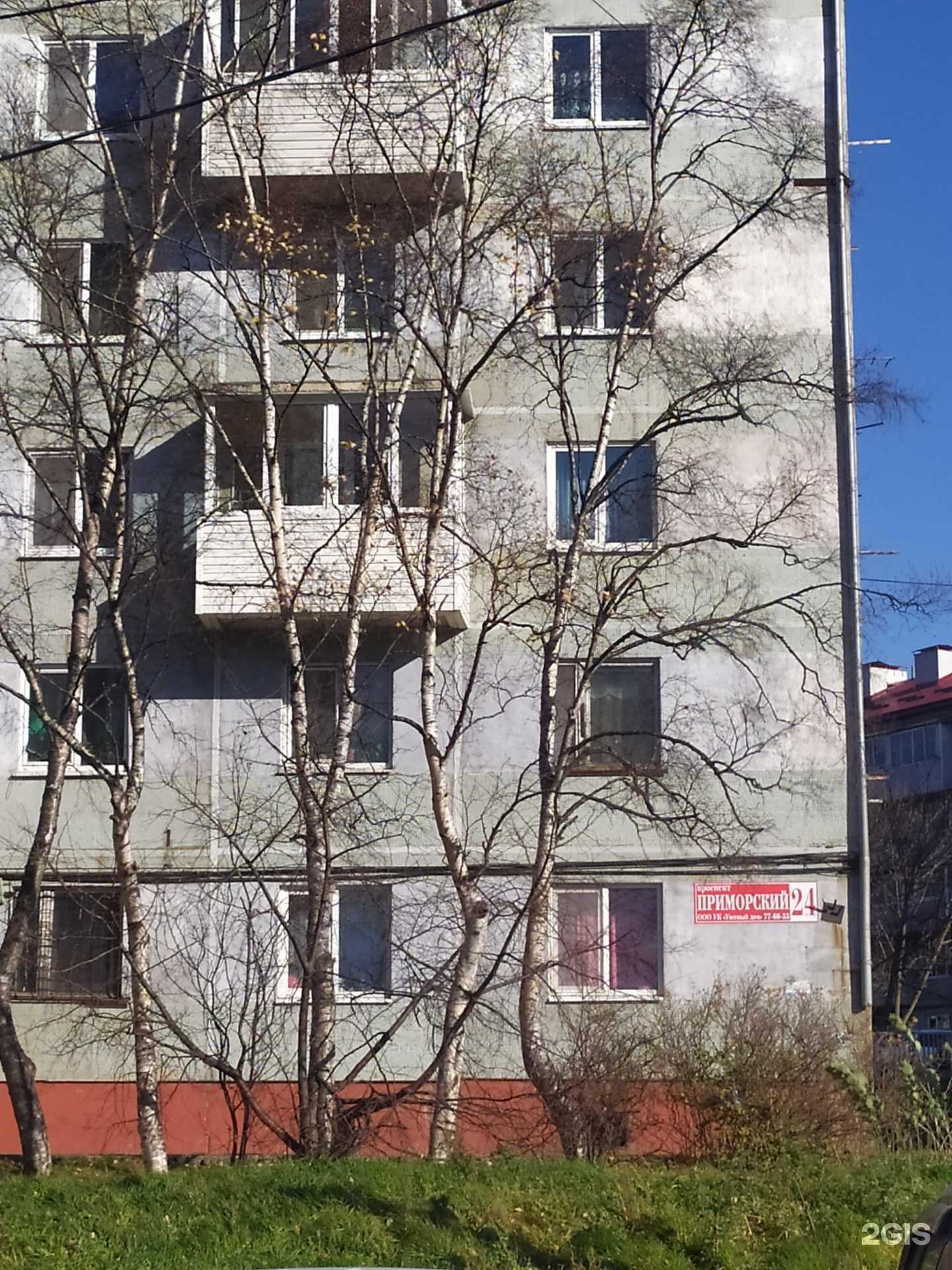 Отзывы на компанию Библиотека №9 в Находке c фото - фотография 2 из 2