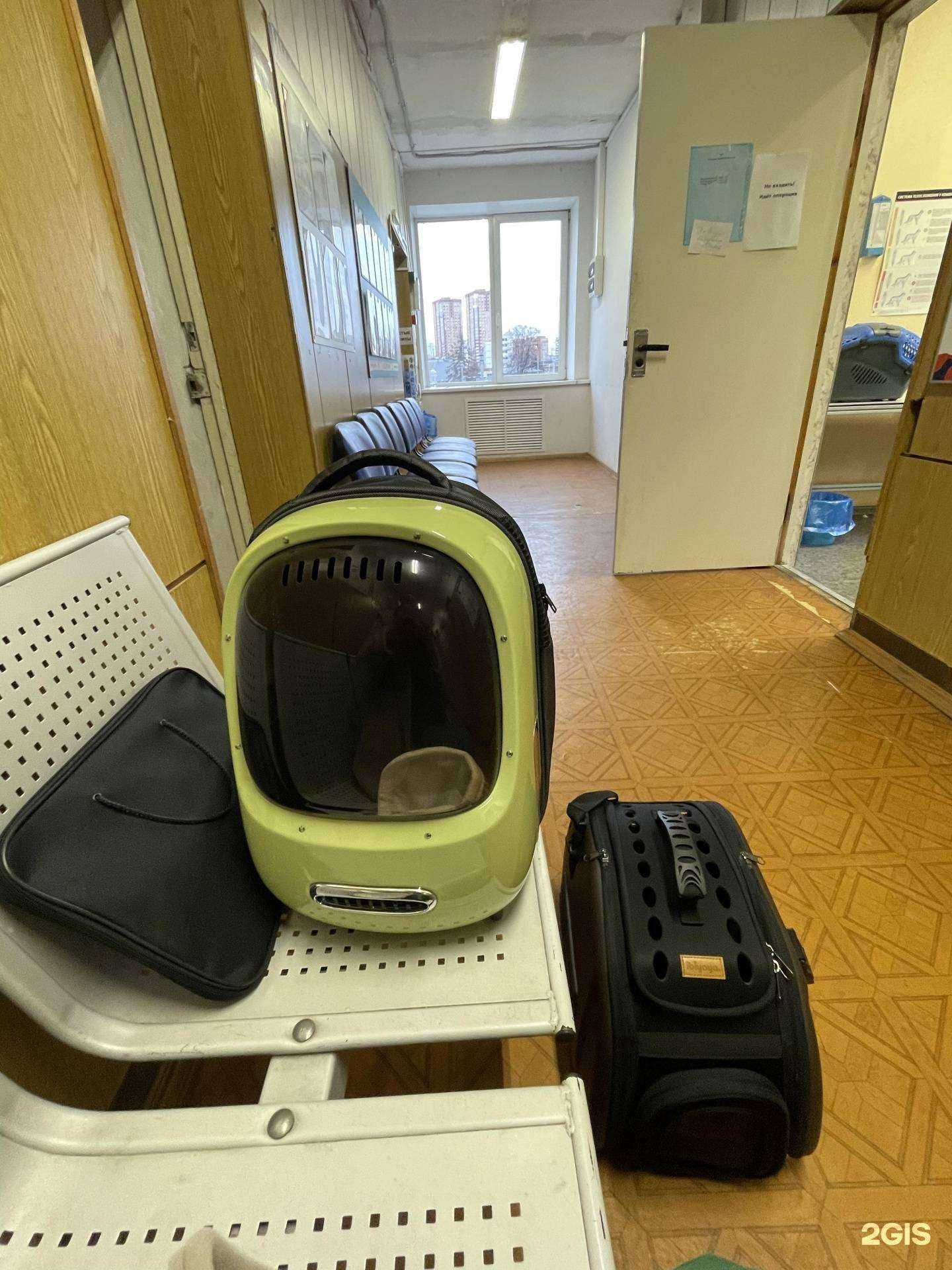 Отзывы на компанию Химкинская ветеринарная станция в Химках c фото