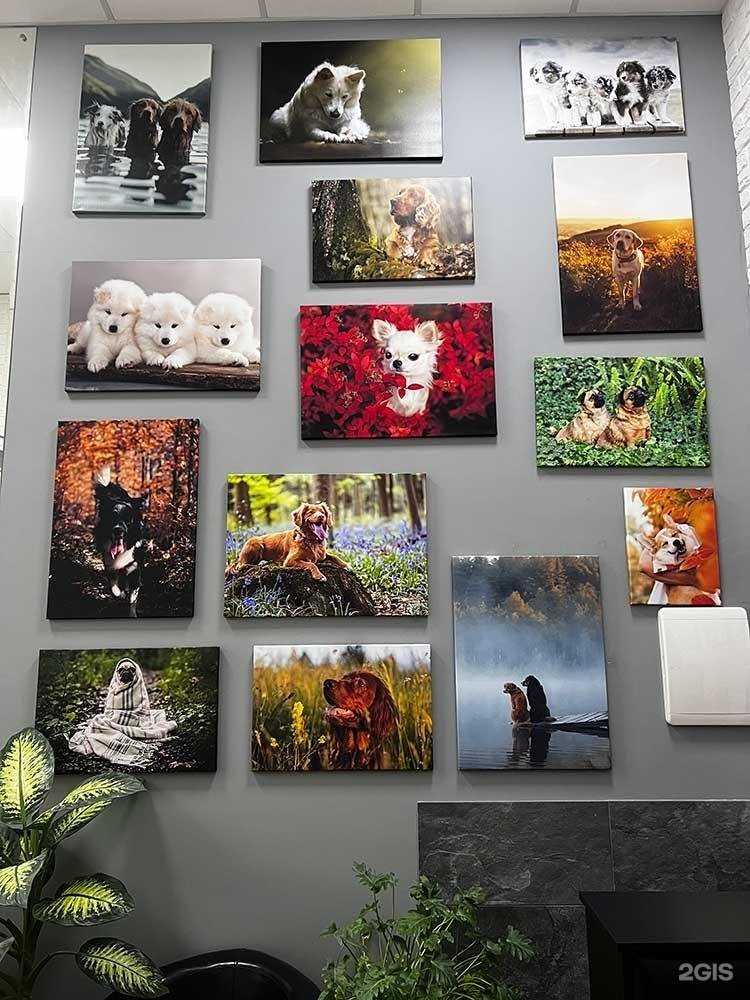 Отзывы на компанию Два хвоста в г. Одинцово c фото