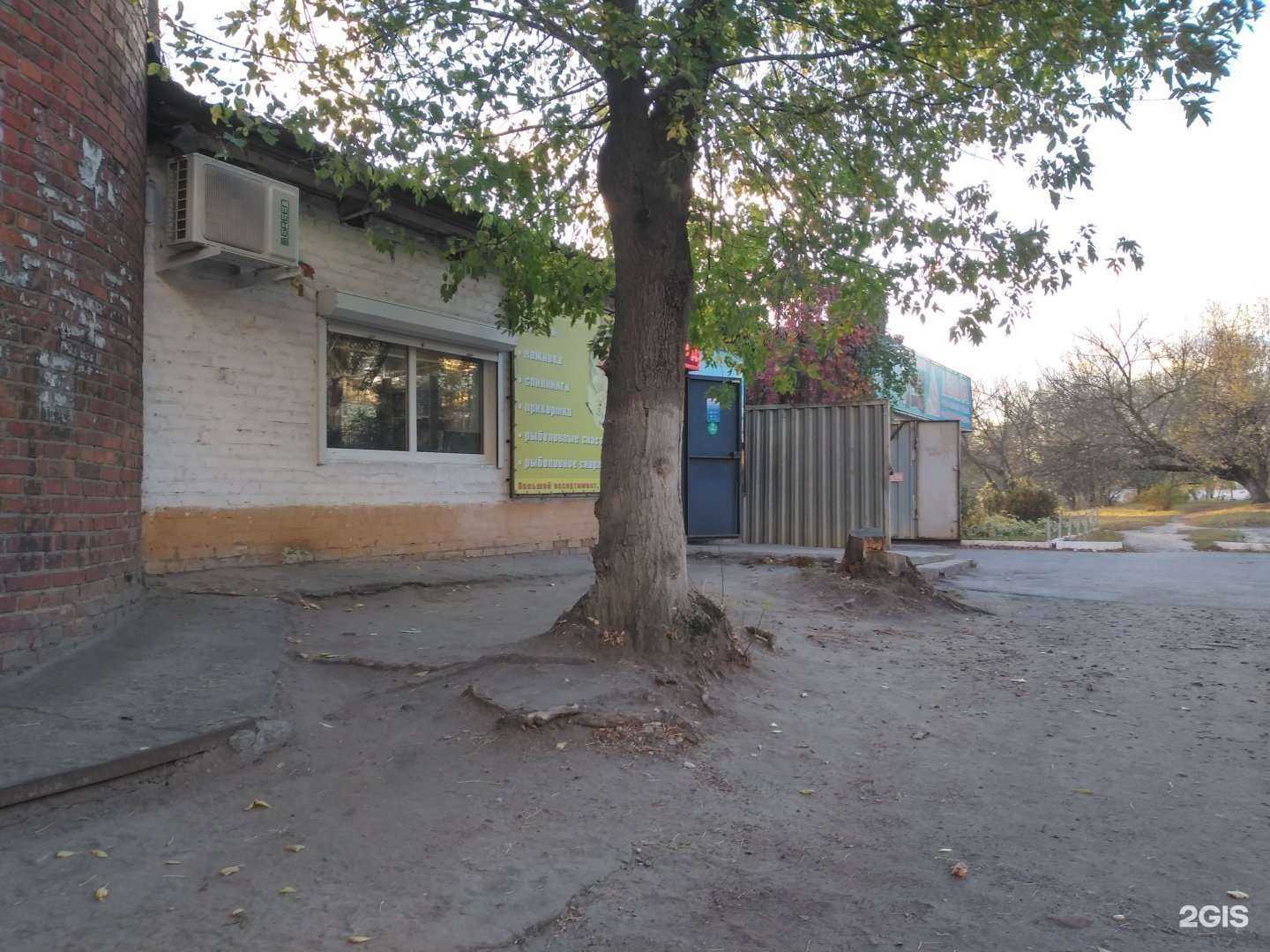 Отзывы на компанию Золотая рыбка в Курске c фото