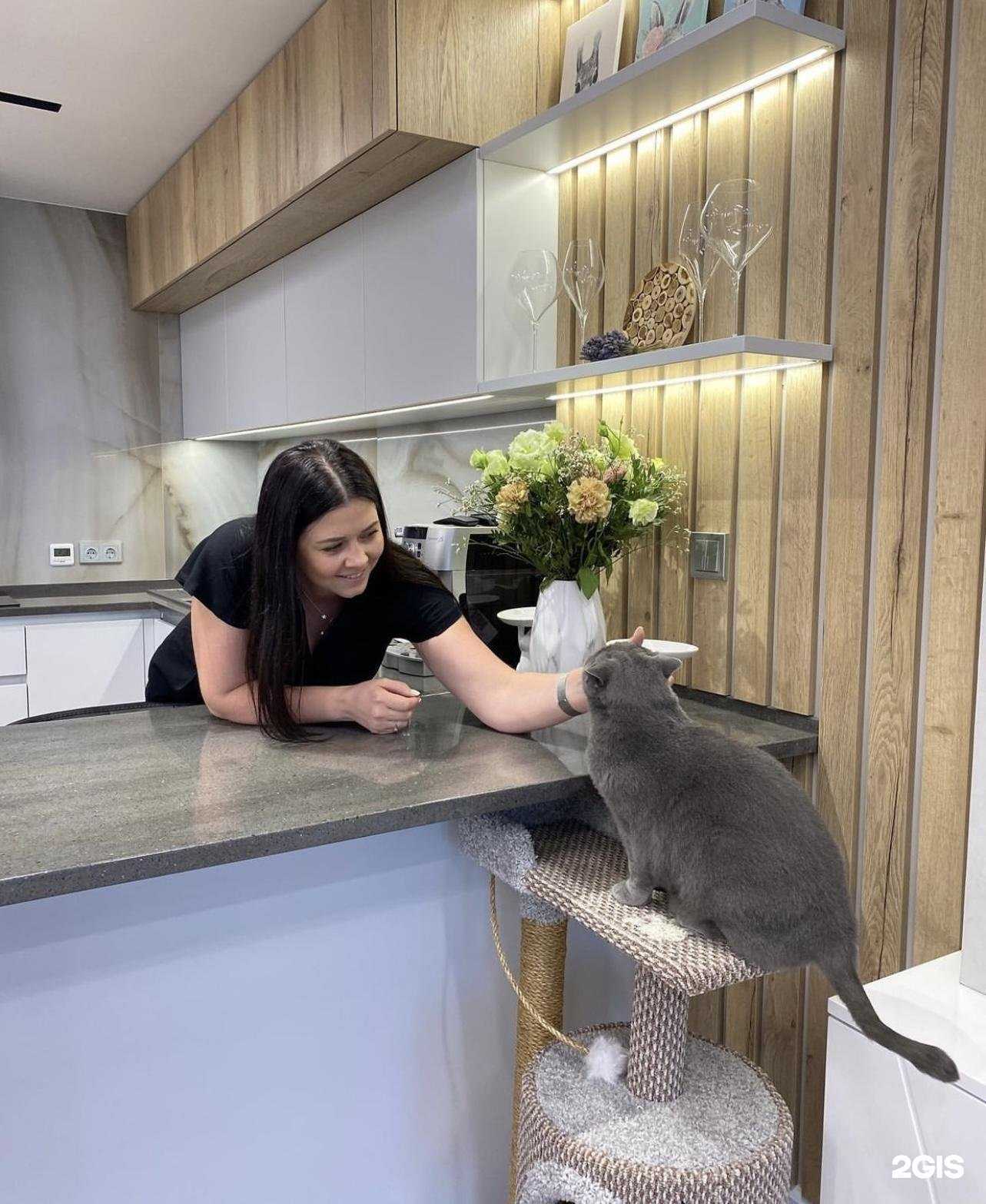 Отзывы на компанию Кухни Deme в Набережных Челнах c фото