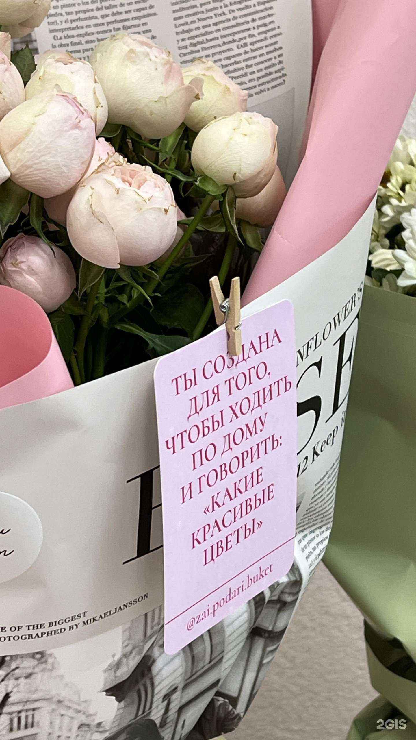 Отзывы на компанию Ne Koluchka в Уфе c фото