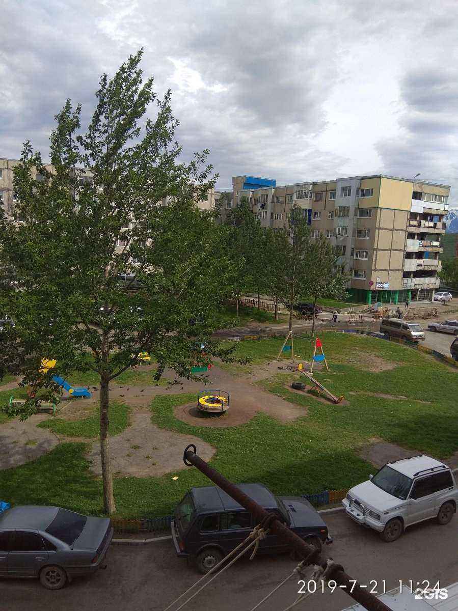 Отзывы на компанию Musculeclub в Петропавловске-Камчатском c фото - фотография 2 из 2