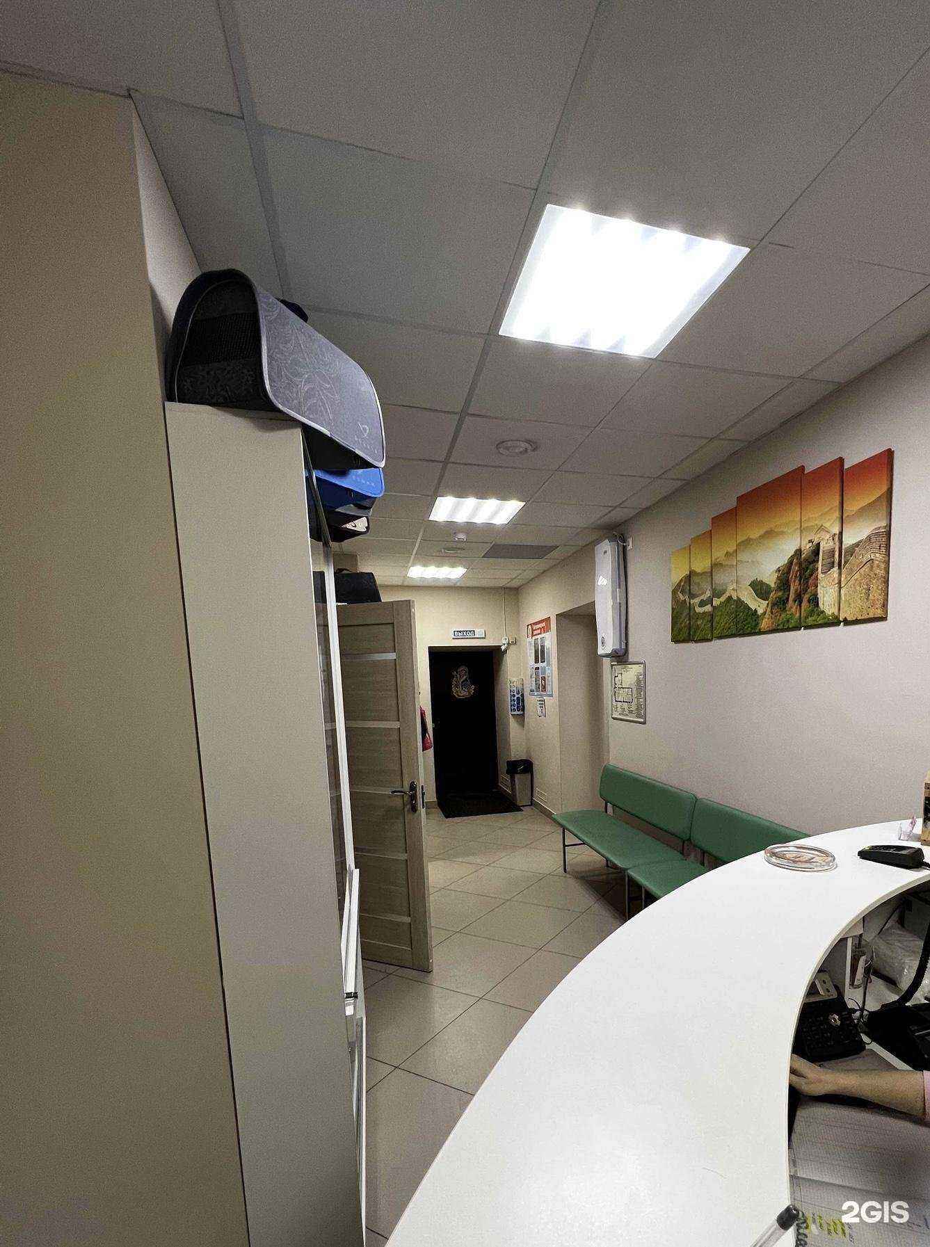 Отзывы на компанию Твой ветдоктор в г. Вологда c фото