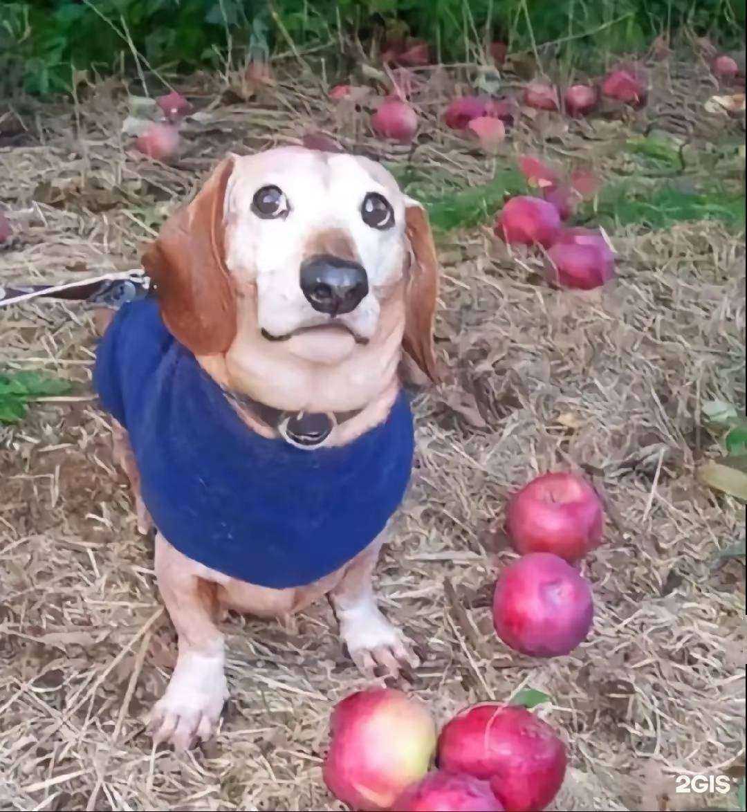 Отзывы на компанию Чик-чик в Иркутске c фото - фотография 2 из 2