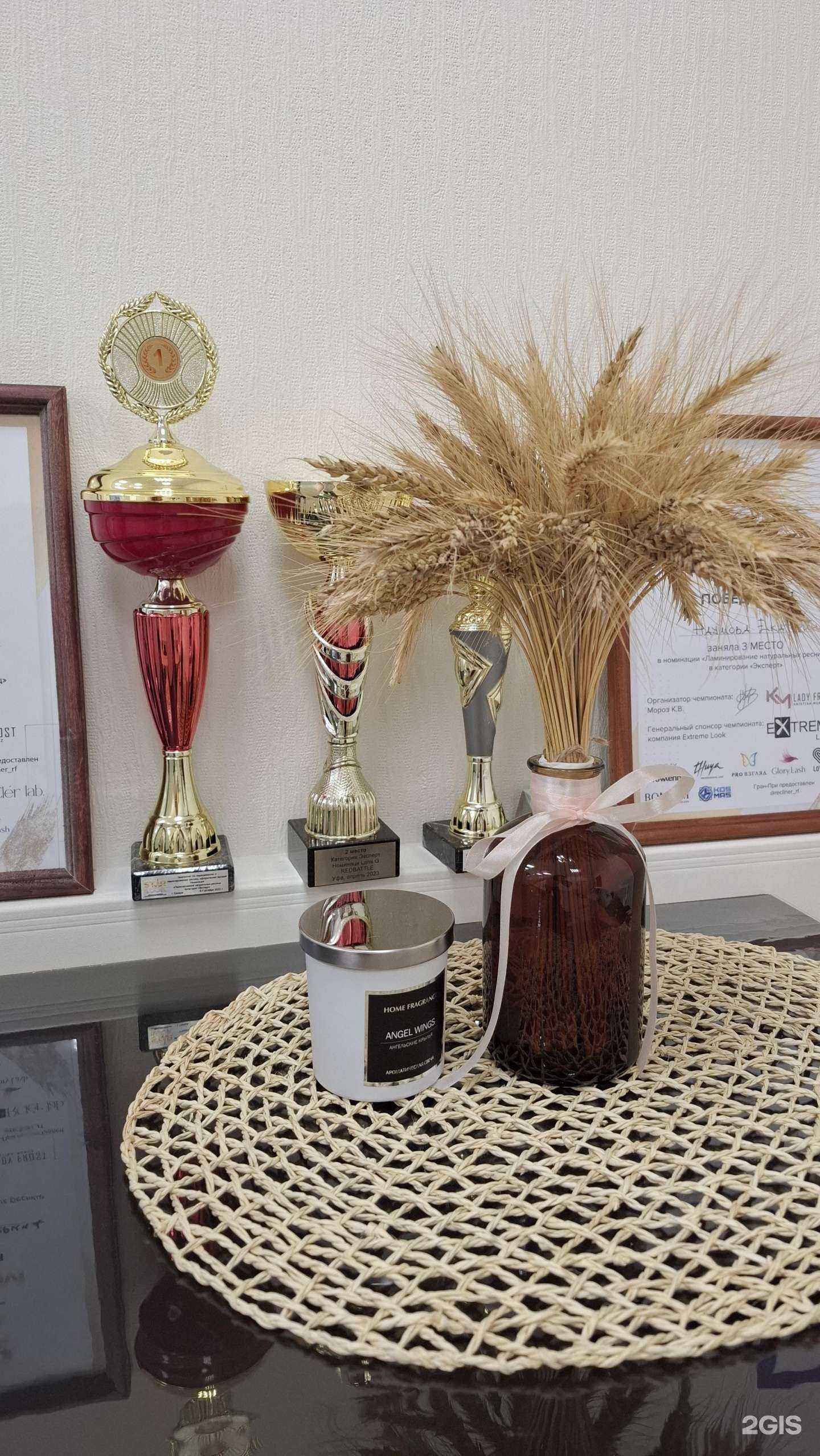 Отзывы на компанию Студия бровей и ресниц в Самаре c фото