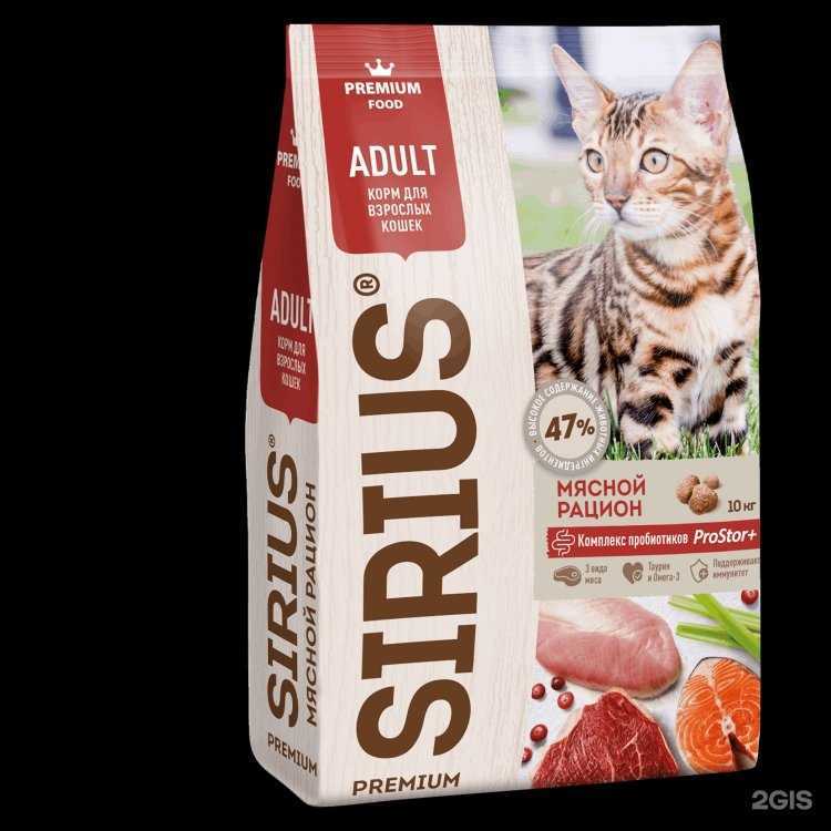 Отзывы на компанию Собаня в Красноярске c фото