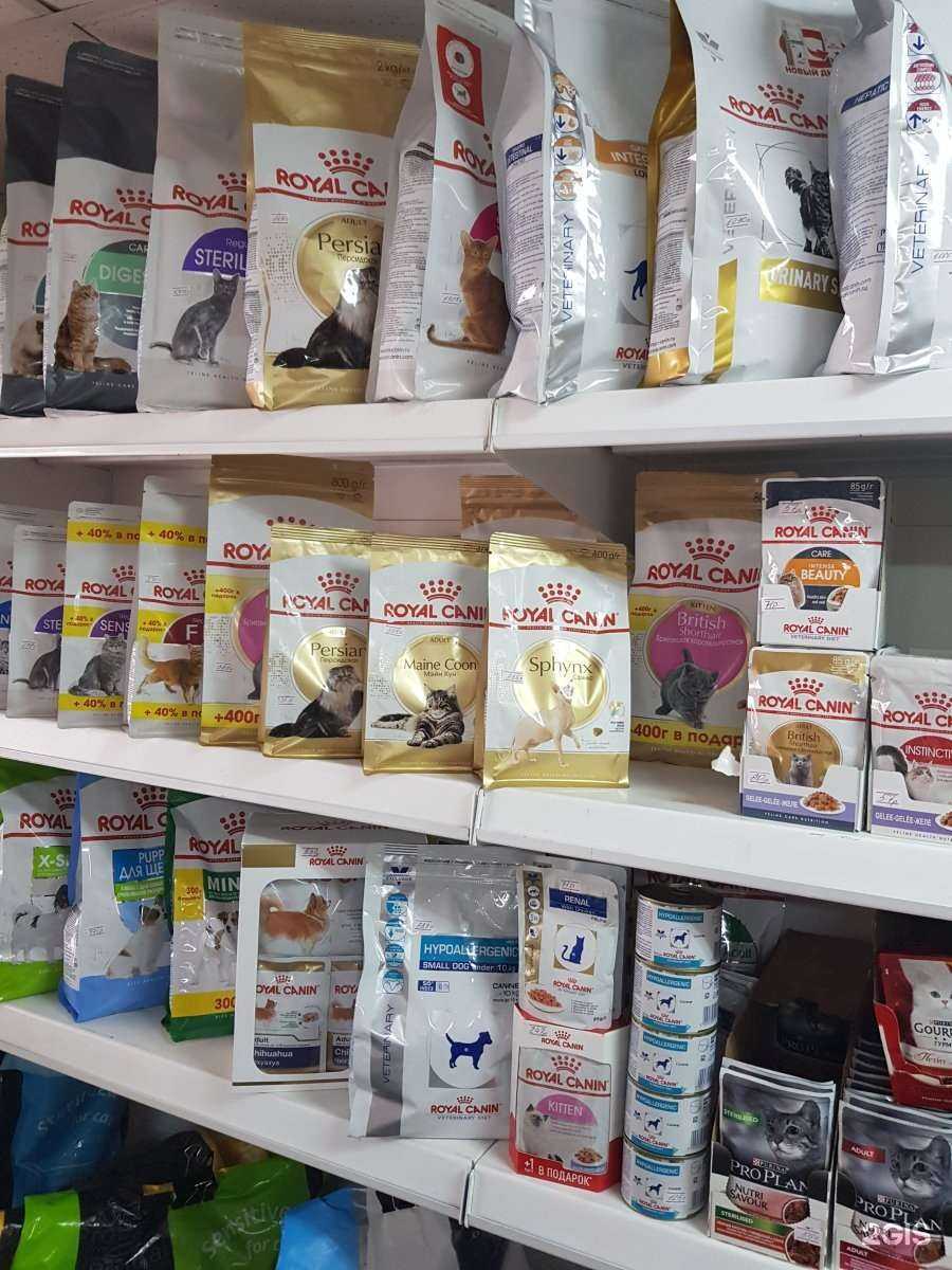 Отзывы на компанию Территория кошек в г. Пятигорск c фото