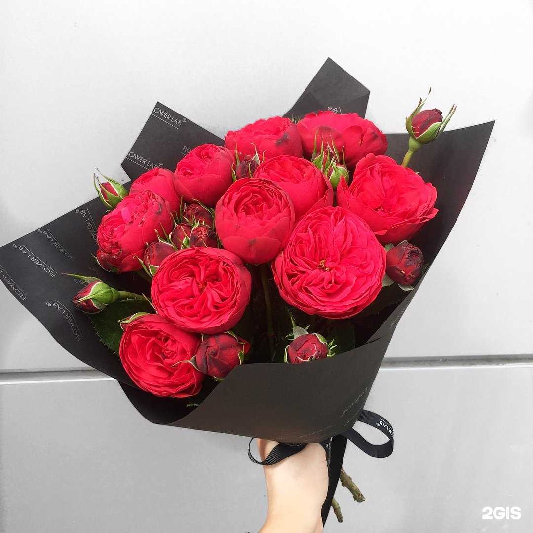 Отзывы на компанию Rossa в Тамбове c фото