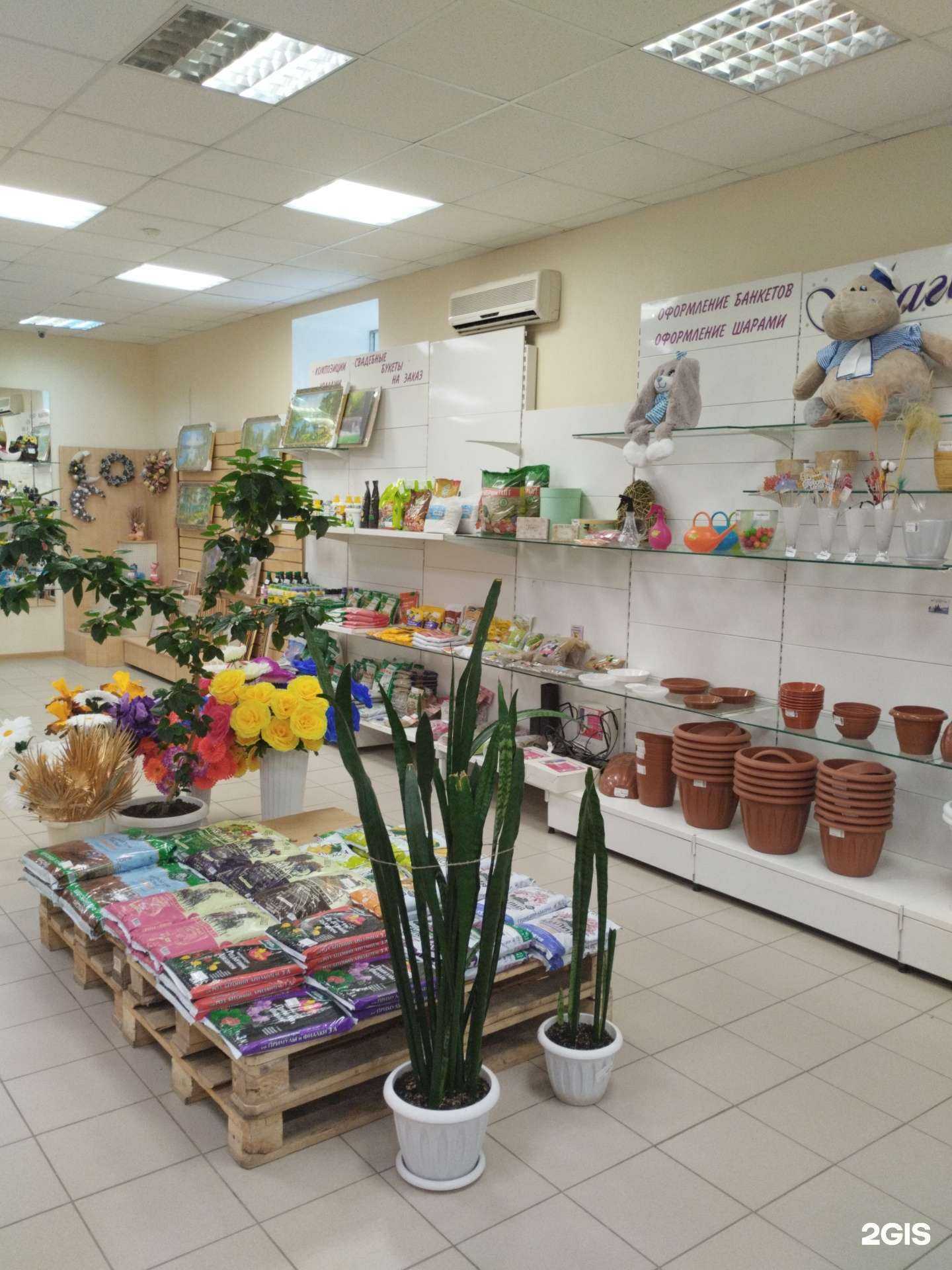 Отзывы на компанию Fleur в Кировграде c фото