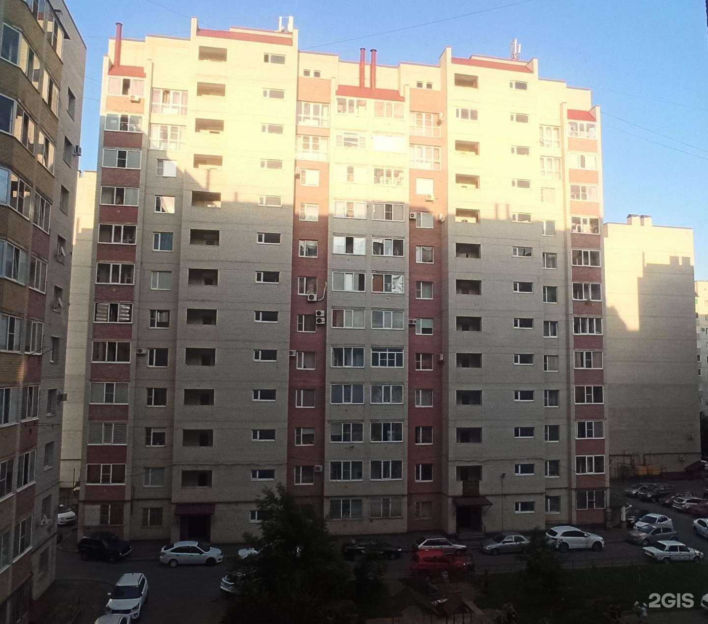 Отзывы на компанию Pronogti в Ставрополе c фото - фотография 2 из 2