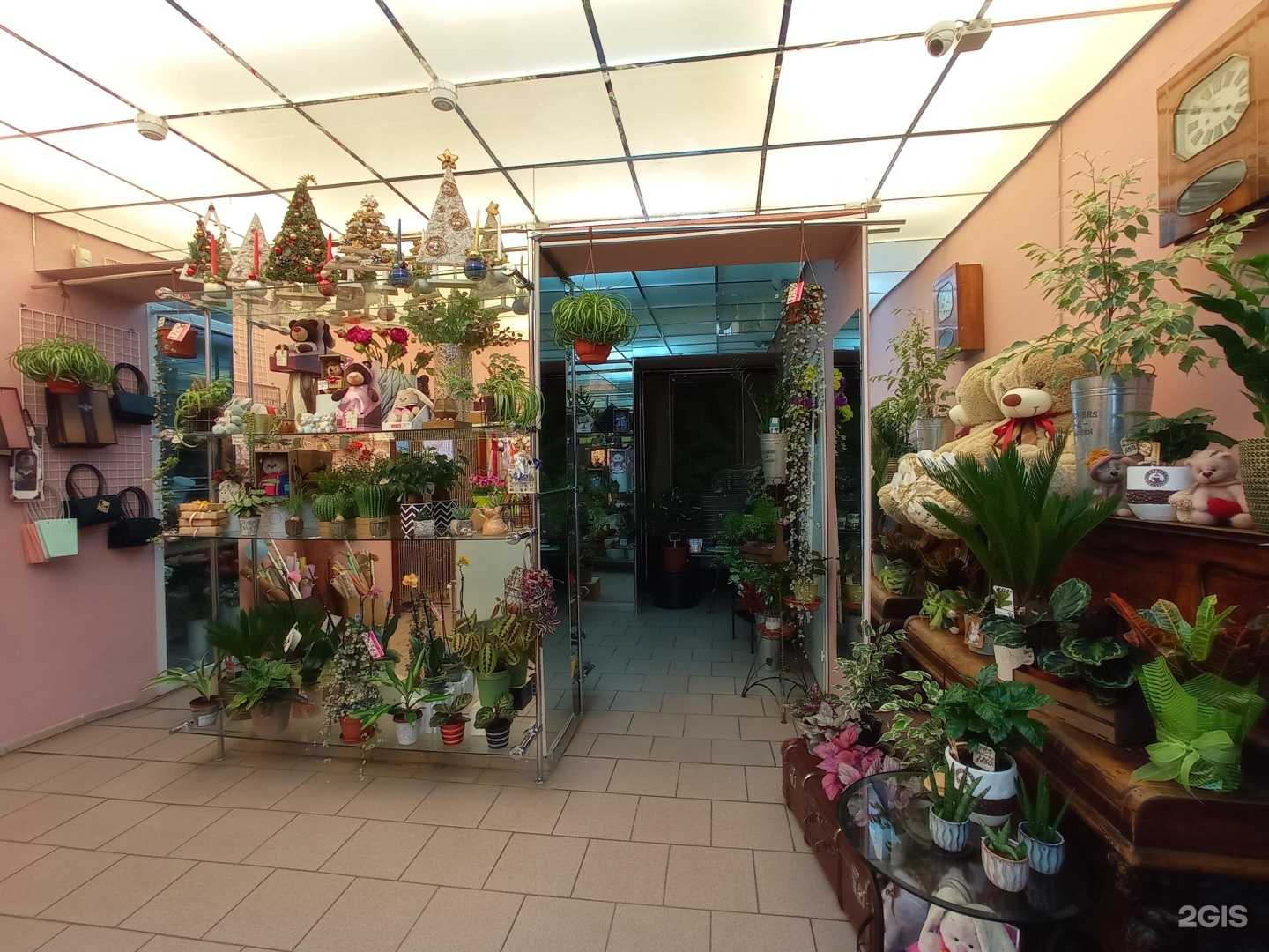 Отзывы на компанию Арт и Шок в Гатчине c фото