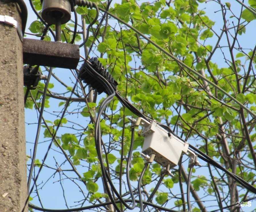 Отзывы на компанию Эллайн в Новосибирске c фото