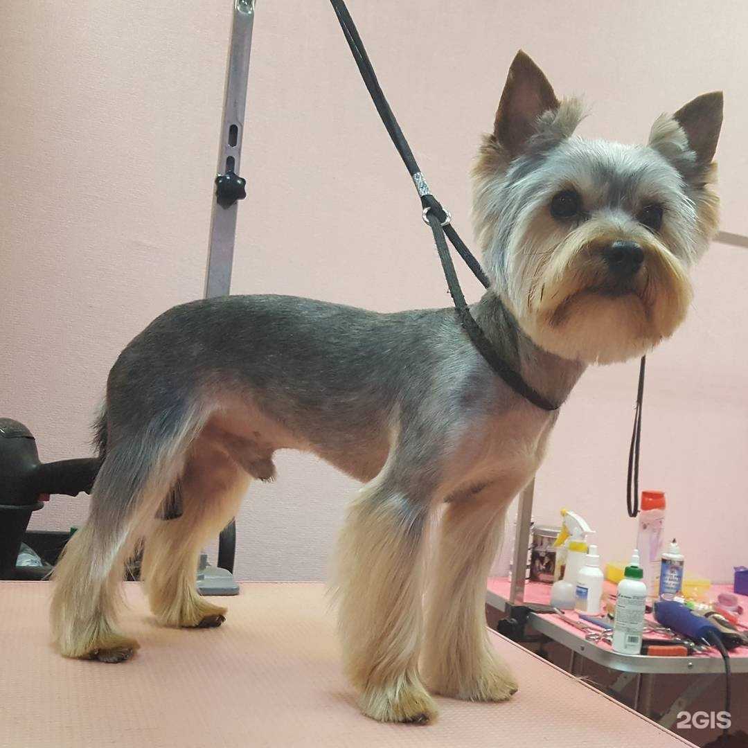 Отзывы на компанию А`мур в Рязани c фото