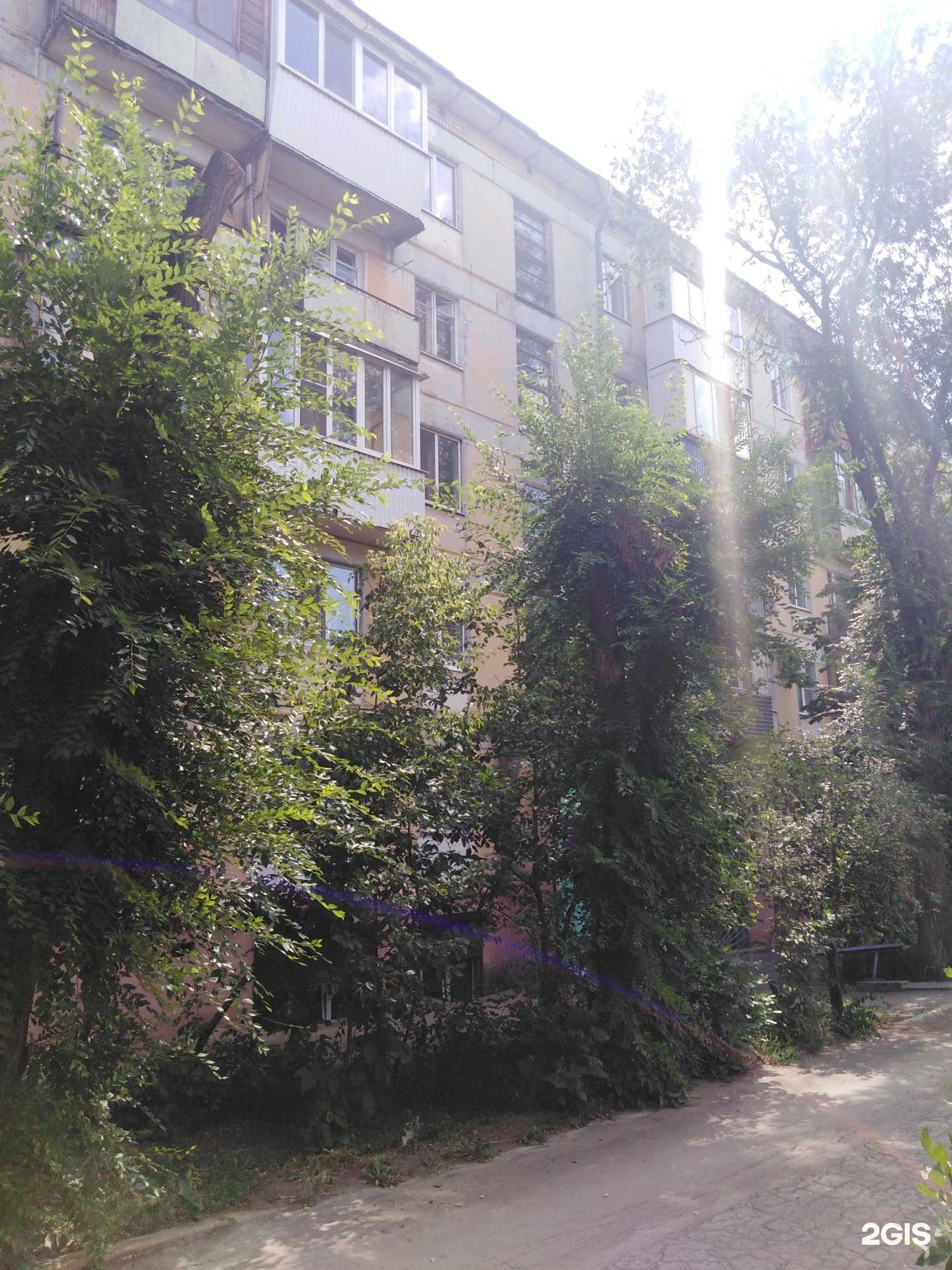 Отзывы на компанию Чистый и Пушистый в г. Самара c фото