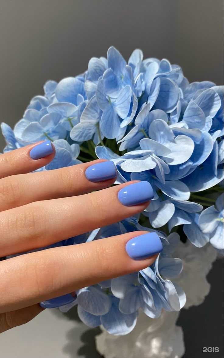 Отзывы на компанию Biserova.Zlata  в г. Барнаул c фото