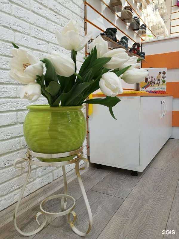 Отзывы на компанию Orline в г. Ростов-на-Дону c фото