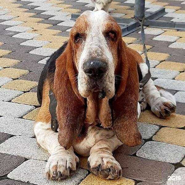 Отзывы на компанию Добрый мир в Анапе c фото