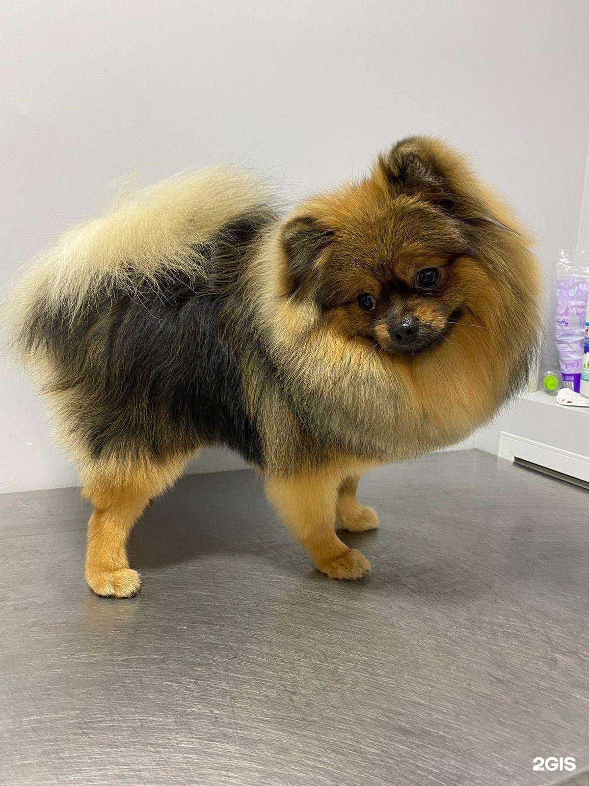 Отзывы на компанию Хан в Томске c фото