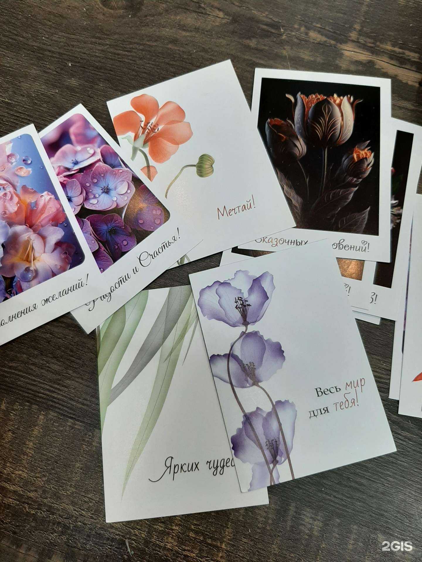 Отзывы на компанию Клевер в Тамбове c фото