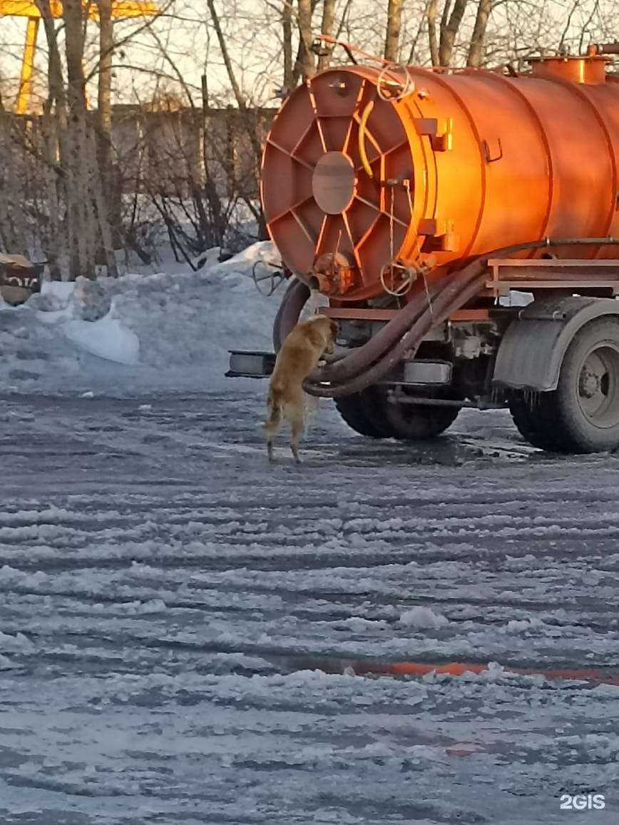 Отзывы на компанию Аварийная 55 в Омске c фото