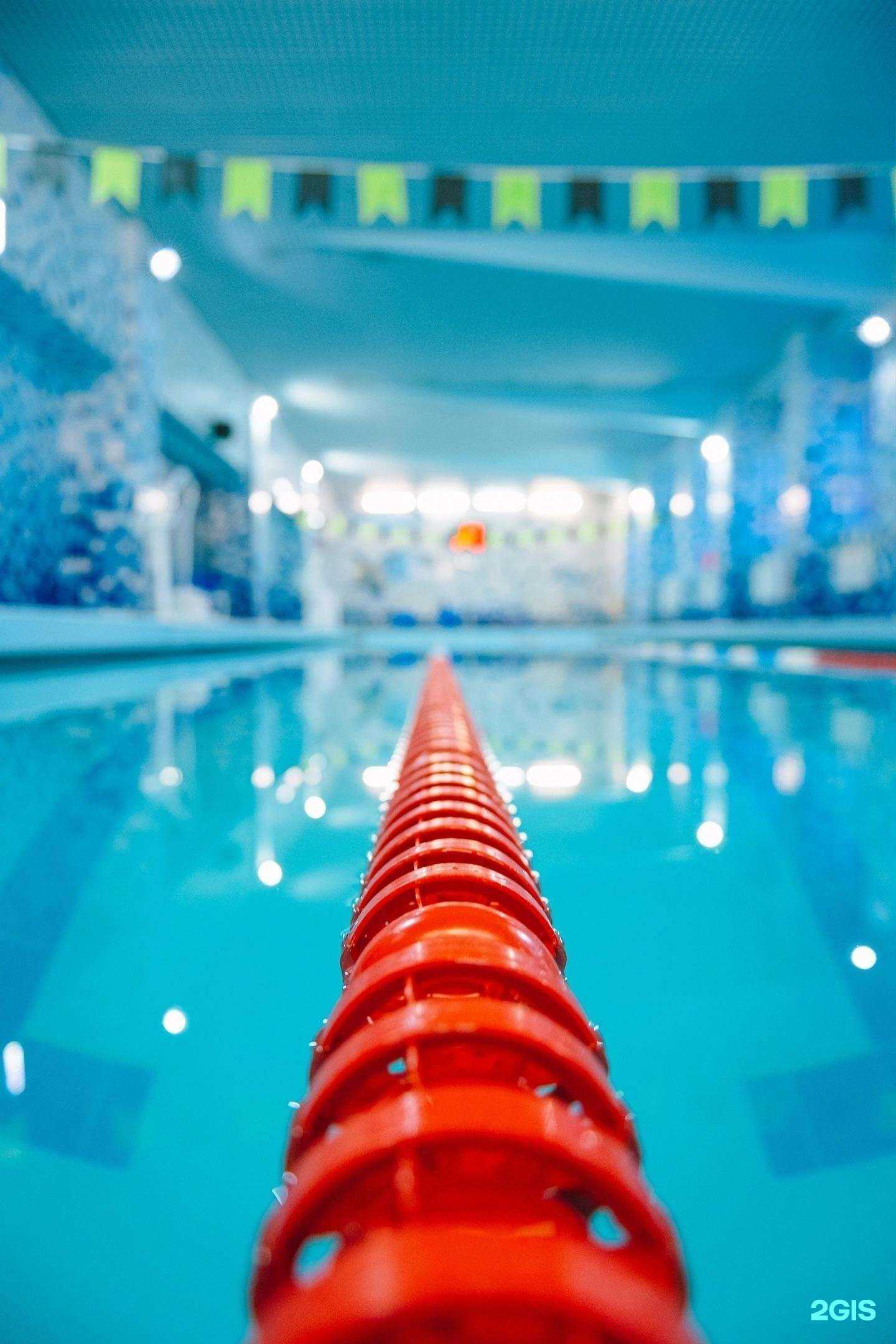 Отзывы на компанию Sandros swimming в Тамбове c фото