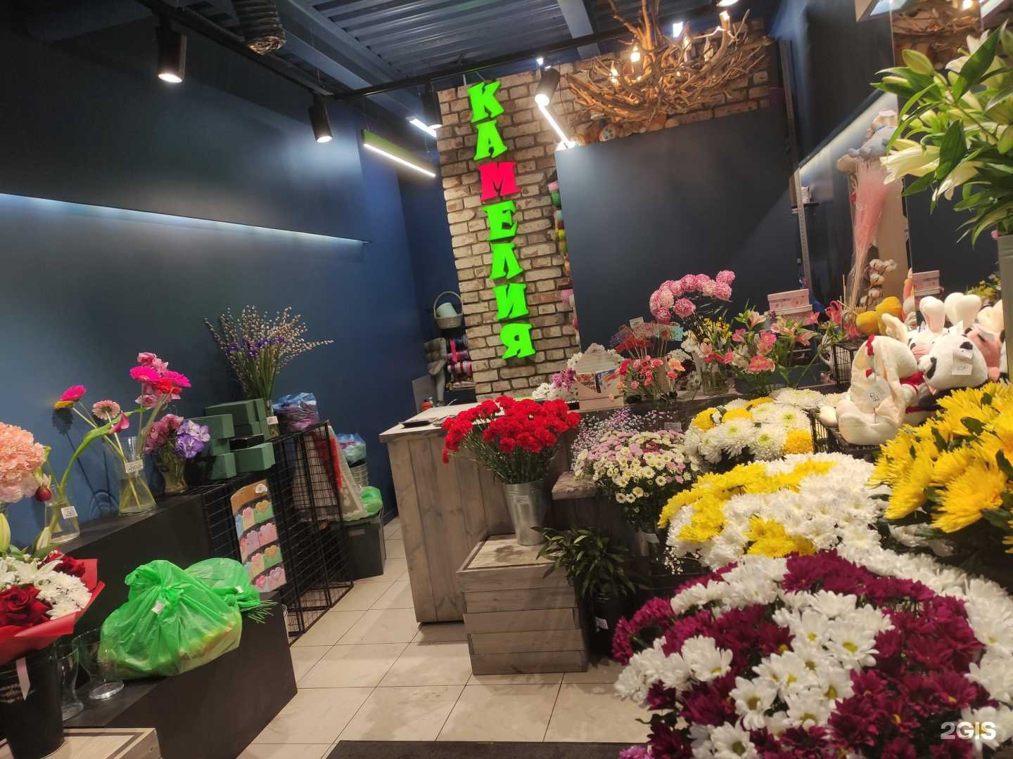 Отзывы на компанию Камелия в г. Сергиев Посад c фото