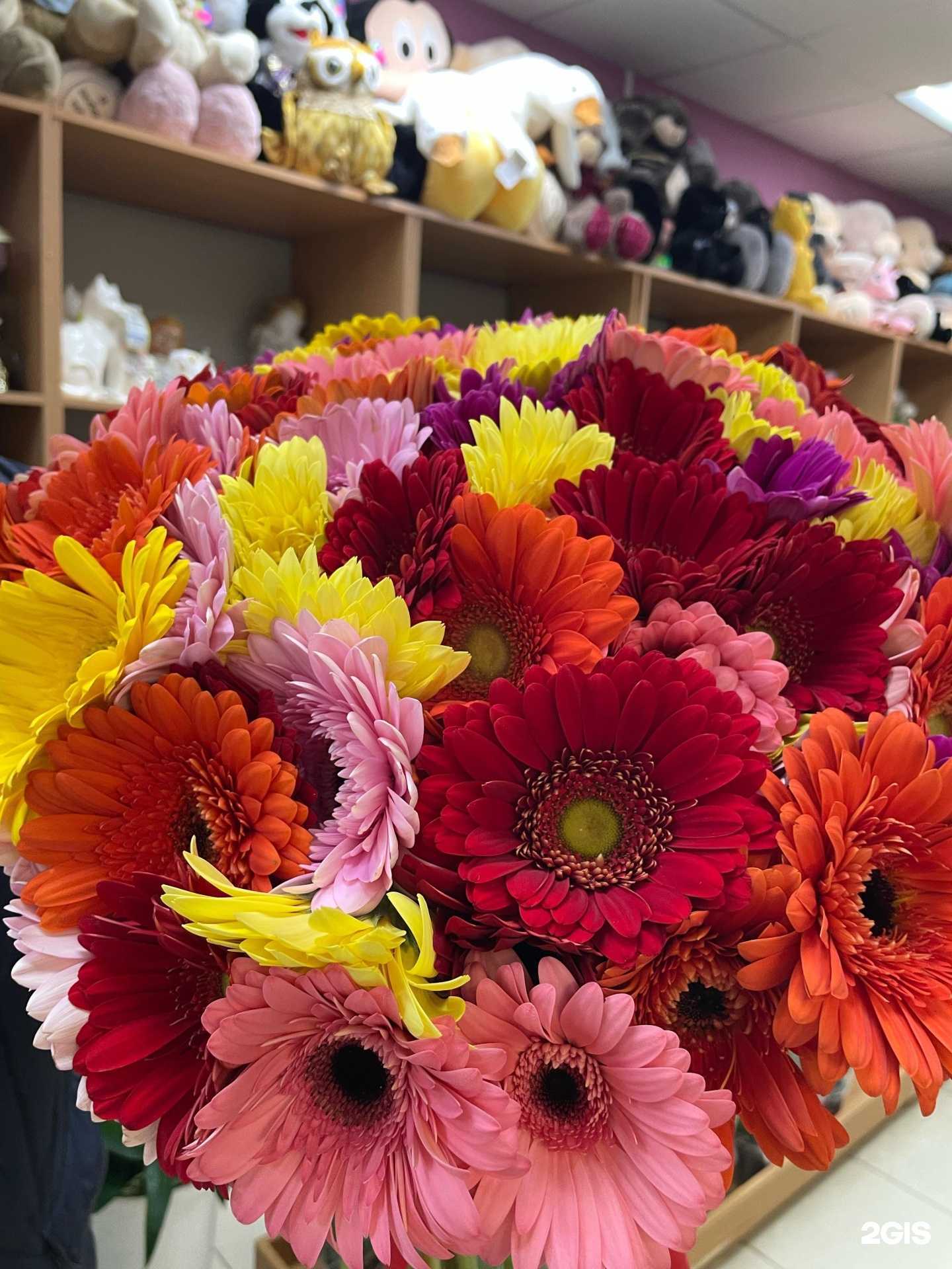 Отзывы на компанию Азалия в Гагарине c фото