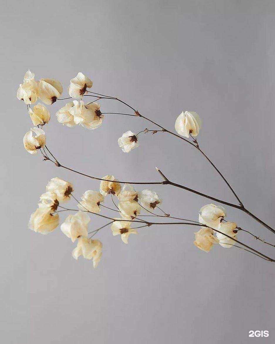 Отзывы на компанию Yuliya Bt в Нижнем Новгороде c фото