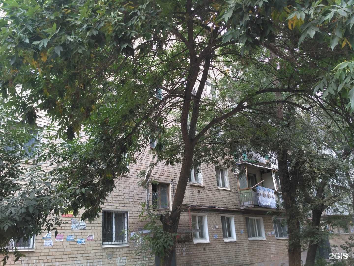 Отзывы на компанию Злата в Энгельсе c фото - фотография 2 из 2