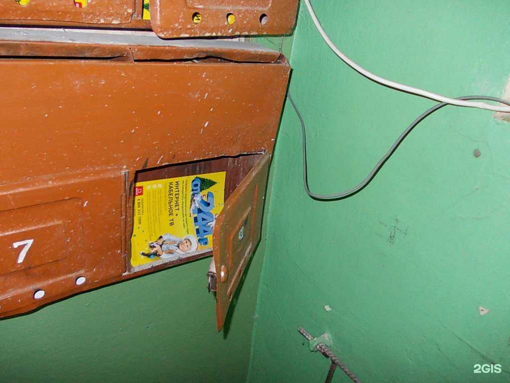 Отзывы на компанию Вишня в Воронеже c фото