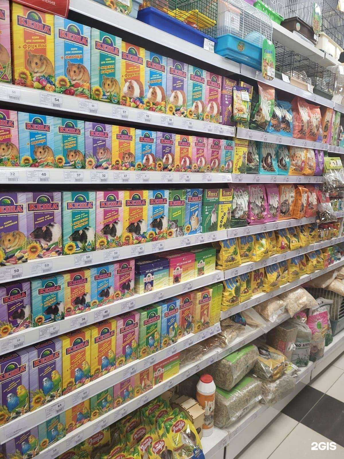 Отзывы на компанию Зоомаркет в Челябинске c фото