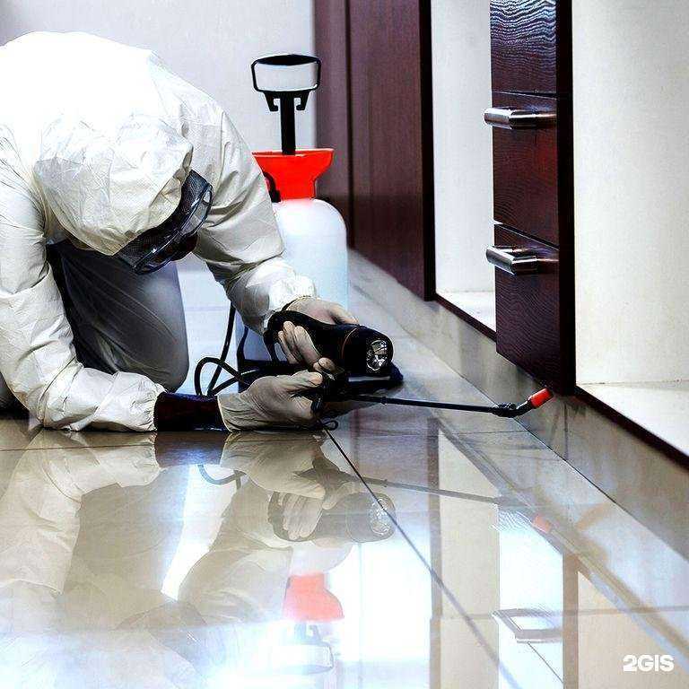 Отзывы на компанию Глав-СЭС в г. Курган c фото