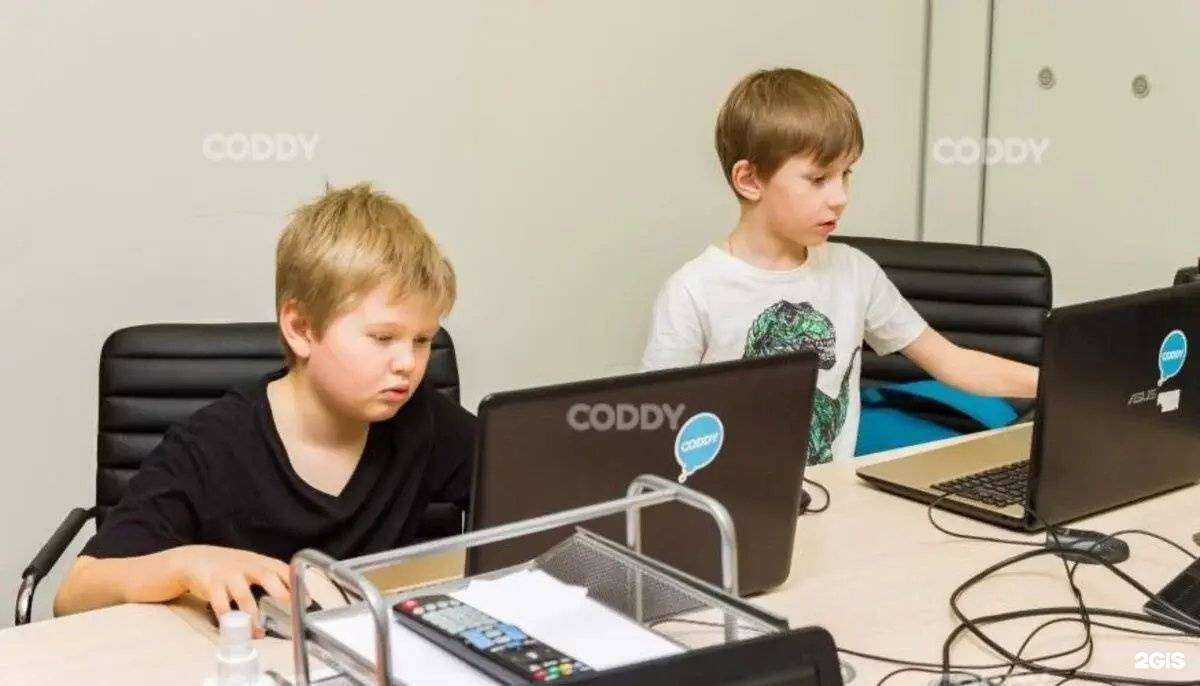 Отзывы на компанию Coddy в Тюмени c фото