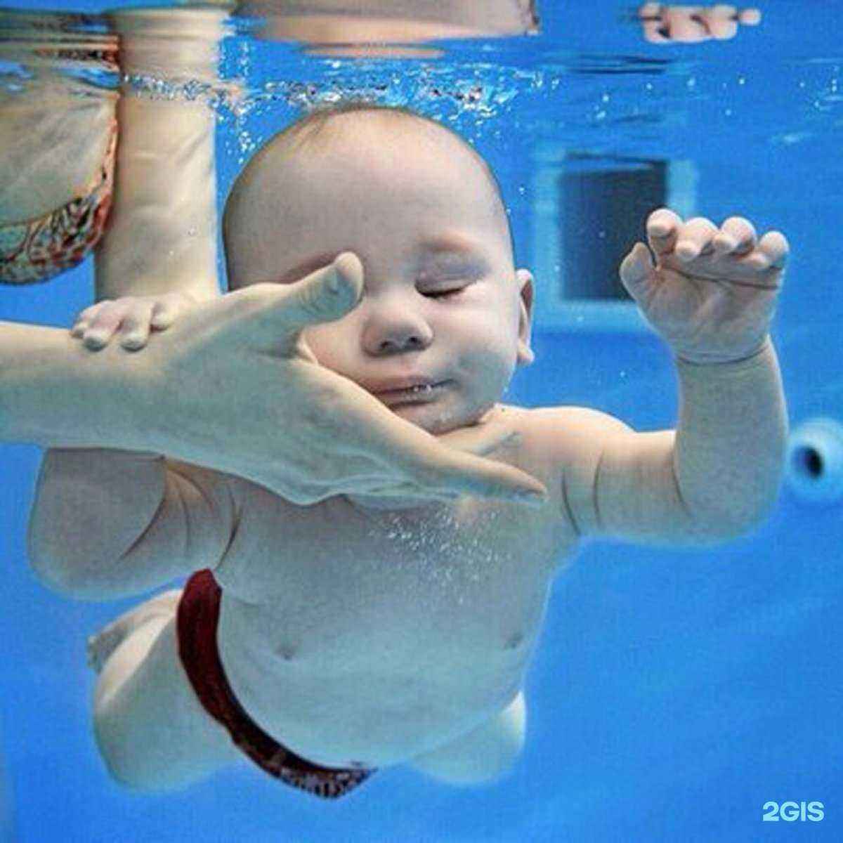 Отзывы на компанию ТоТо в Ростове-на-Дону c фото