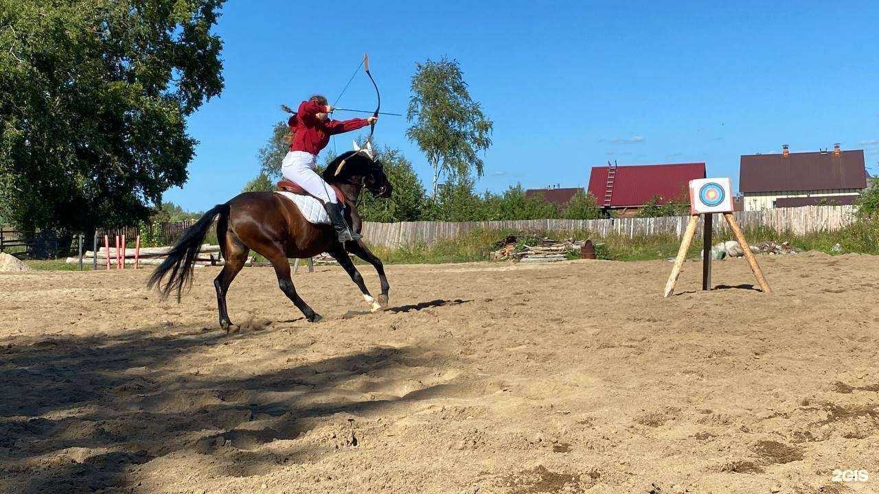Отзывы на компанию Кентавр в Петрозаводске c фото