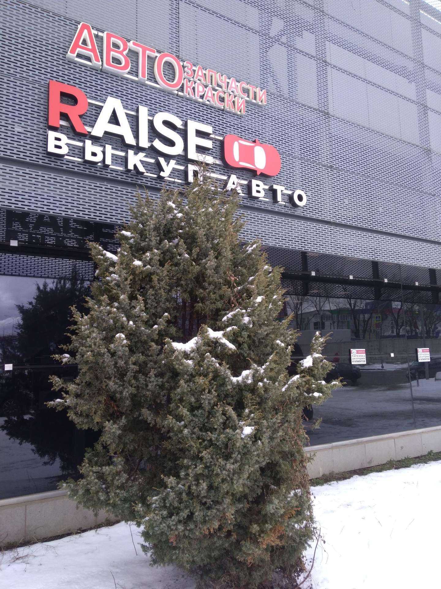 Отзывы на компанию Райс моторс в г. Химки c фото