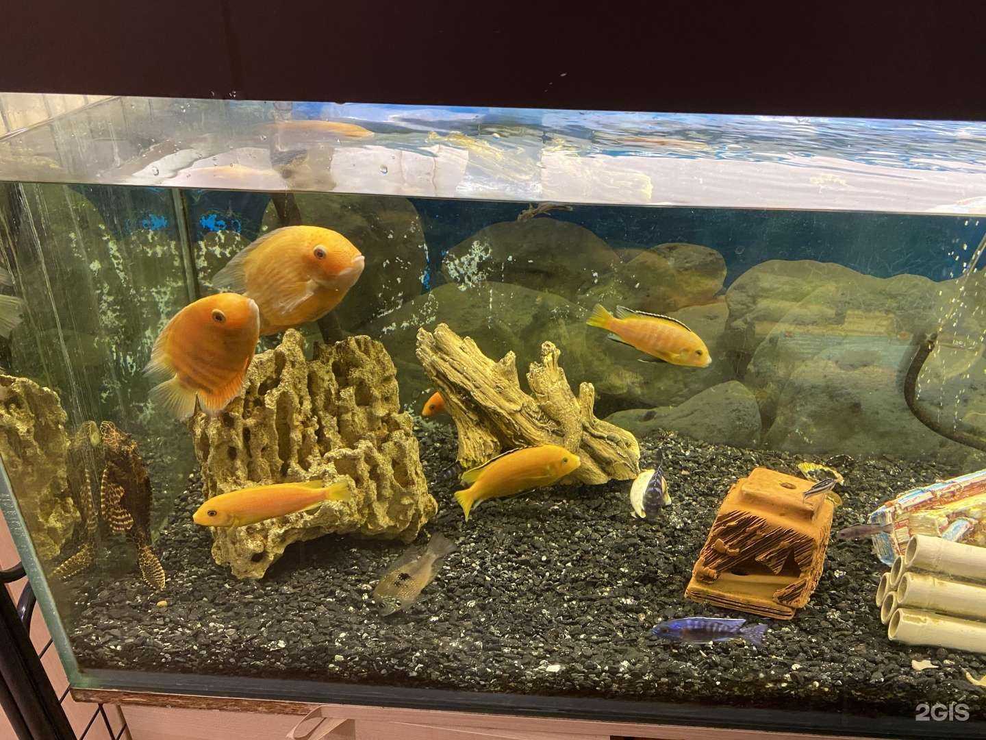 Отзывы на компанию Барбус в Иркутске c фото