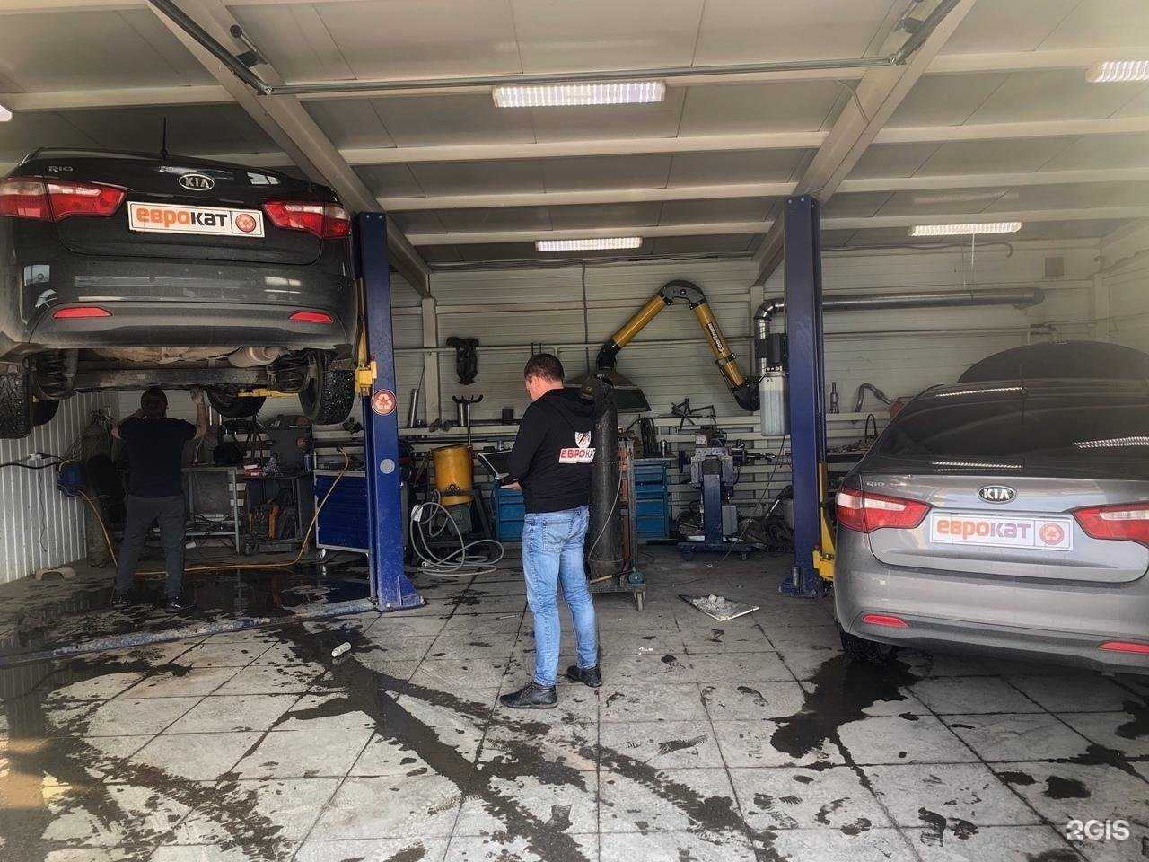 Отзывы на компанию ЕвроКат в Тюмени c фото