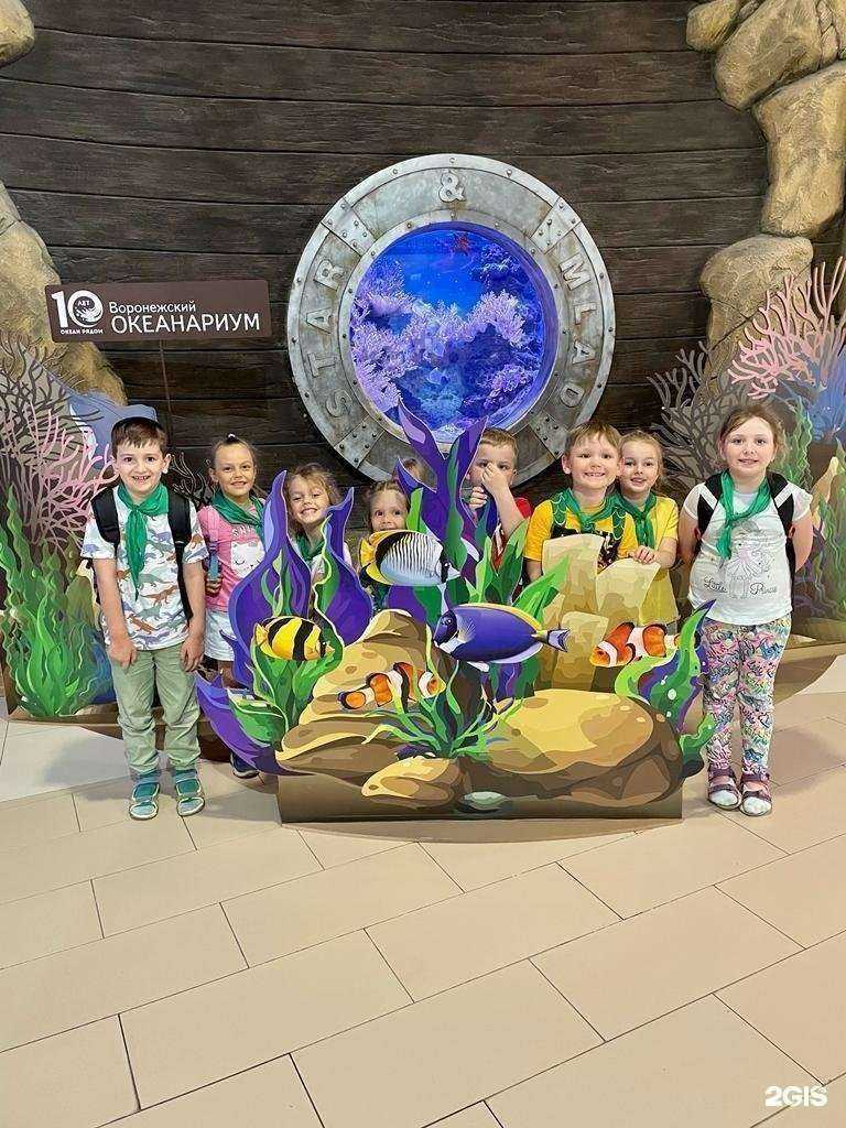 Отзывы на компанию Мудрёна в Воронеже c фото