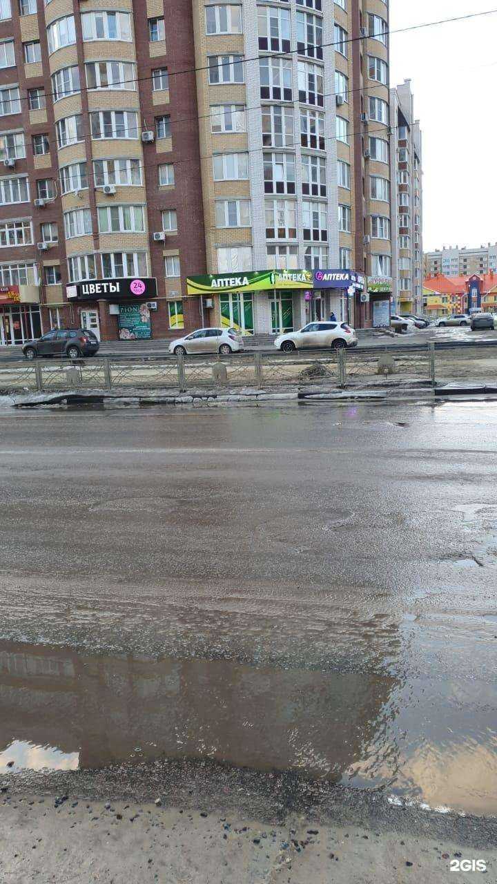 Отзывы на компанию Москитка Тамбов в Тамбове c фото - фотография 2 из 2