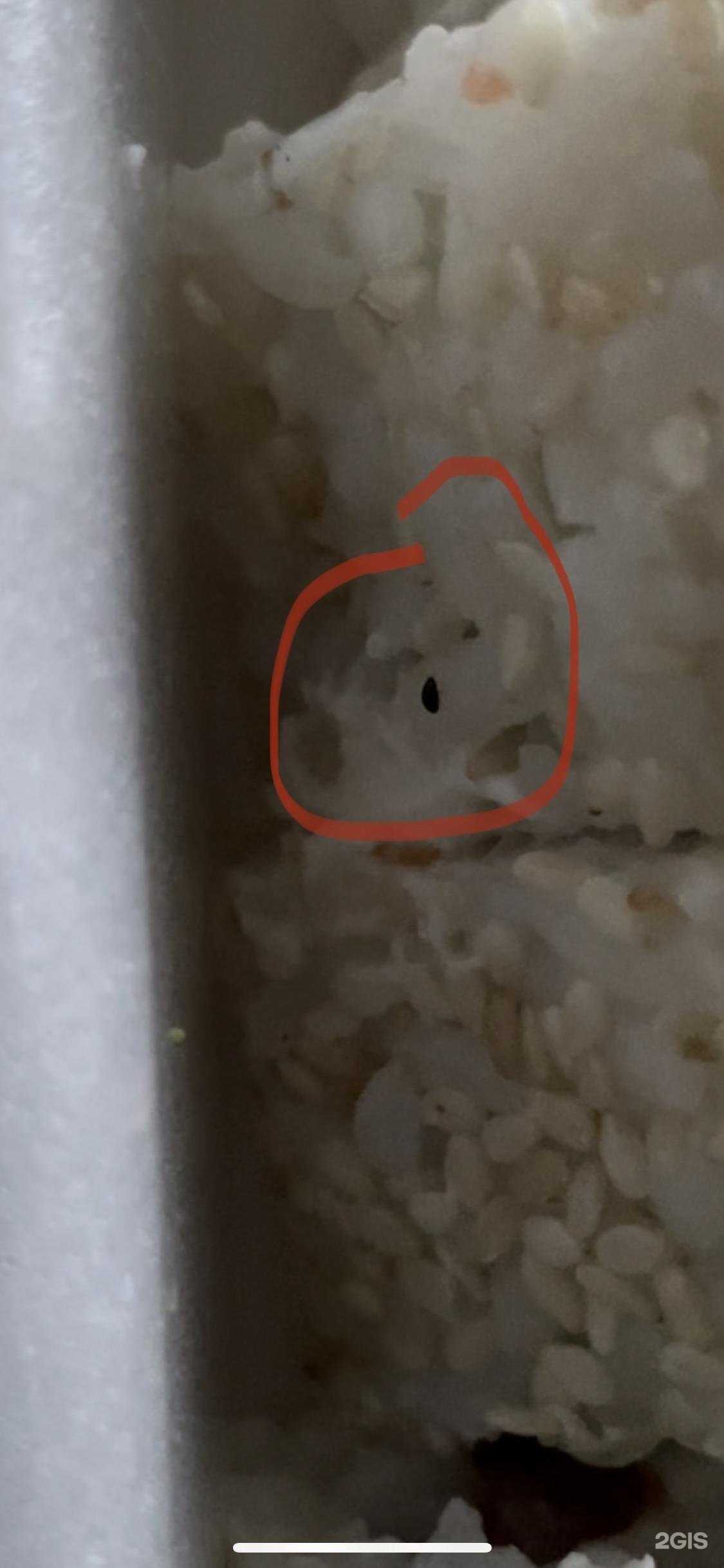 Отзывы на компанию Wokitoki в Зеленодольске c фото