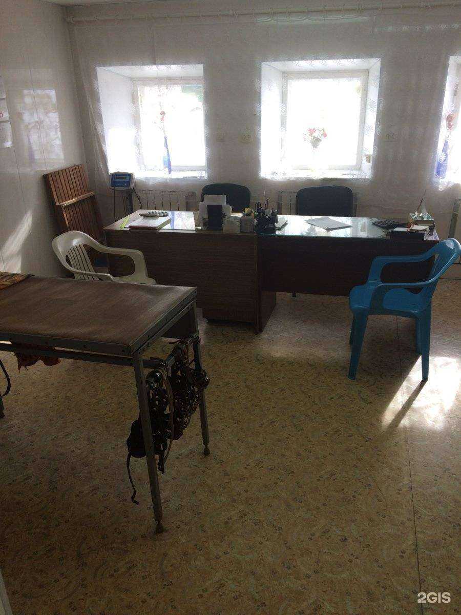 Отзывы на компанию Каменская ветеринарная станция по борьбе с болезнями животных в г. Каменск-Уральский c фото