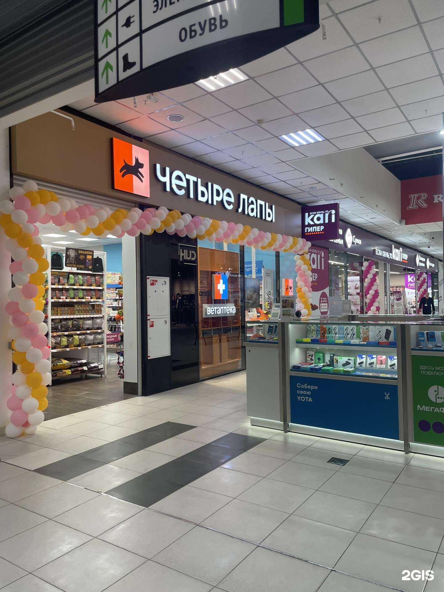 Отзывы на компанию Четыре лапы в Калуге c фото