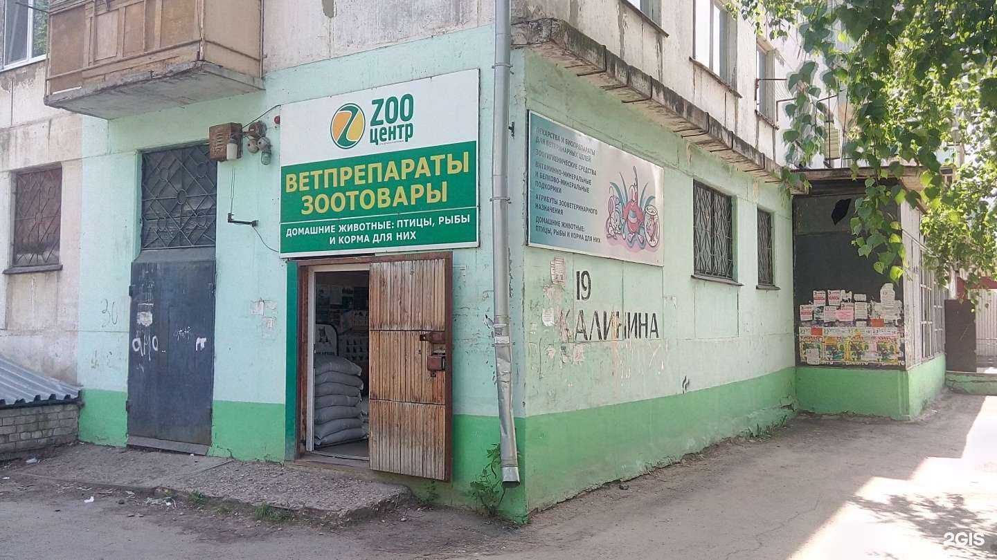 Отзывы на компанию Zoo центр в Чапаевске c фото